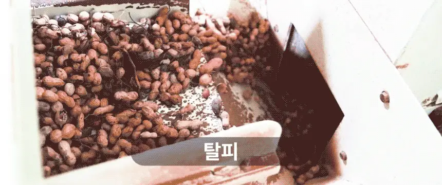 [김도훈PICK] 옳곡 땅콩버터/아몬드버터 골라담기 8종 택 1 상세페이지 39